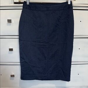 Classic Navy Blue Women's Skirt